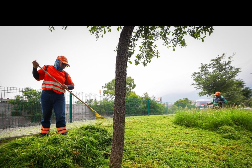 Inicia Monterrey semana de Servicios Públicos con trabajos de deshierbe y fumigación